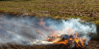 INIA La Platina presenta ciclo de charlas sobre prácticas sustentables para eliminar el uso del fuego en las tareas agrícolas