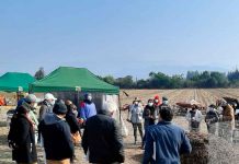 INIA La Platina realiza Día de Campo en Melipilla para transferir prácticas sustentables que eviten el uso del fuego en tareas agrícolas