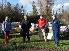 Ñuble Entrega indemnizaciones por más de $46 millones a 85 apicultores afectados por la sequía