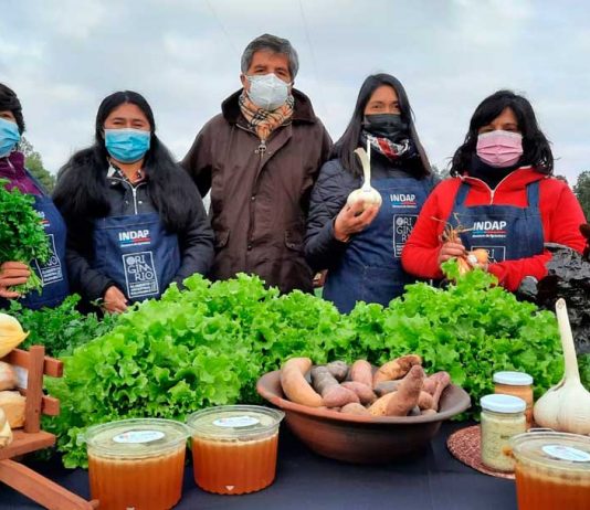 Pequeñas productoras indígenas de la Región de Los Lagos recibieron Sello Originario de INDAP En una ceremonia realizada en el sector Quihua de la comuna de Calbuco, INDAP entregó el Sello Originario a las primeras agricultoras indígenas de la Región de Los Lagos. Esta certificación está inserta en el Programa de Alimentos Ancestrales Saludables que impulsan el servicio del agro y Elige Vivir Sano y tiene el propósito de rescatar y promover el consumo de productos que han formado parte de la dieta de nuestros pueblos originarios.