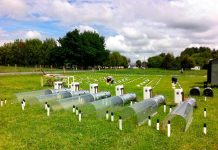 Plagas y enfermedades de cultivos agrícolas serán tema central en encuentro científico que prepara INIA Investigadores de todo Chile participarán a fines de septiembre en Semana de la Sanidad Vegetal y Medio Ambiente que de manera virtual reunirá a expertos nacionales y extranjeros.