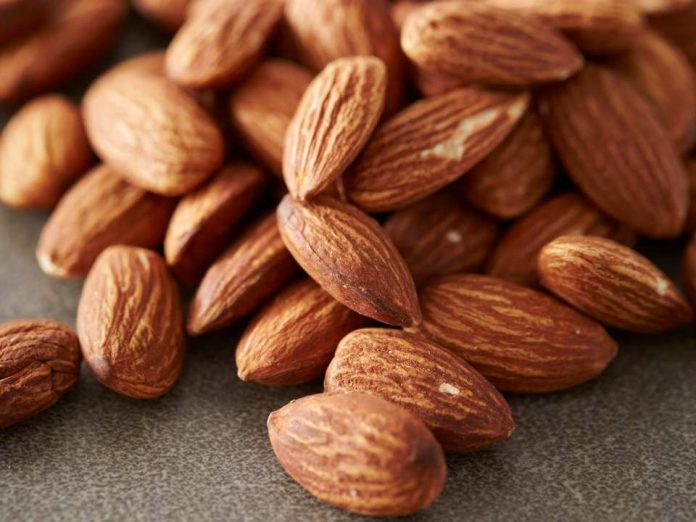 REPORTE DE ALMENDRA Y NUECES EN CHILE. AFRUSEC Agosto 2021