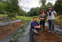 Rubro Frutales apoyado por INDAP Aysén con gran proyección local