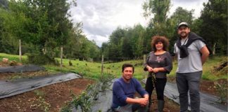 Rubro Frutales apoyado por INDAP Aysén con gran proyección local