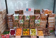 SAG Arica y Parinacota detecta Mosca de la Fruta en productos agrícolas ingresados clandestinamente