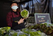 UN NUEVO ESPACIO DE COMERCIALIZACIÓN: MERCADO CAMPESINO EN LO BARNECHEA