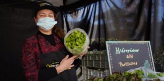 UN NUEVO ESPACIO DE COMERCIALIZACIÓN: MERCADO CAMPESINO EN LO BARNECHEA