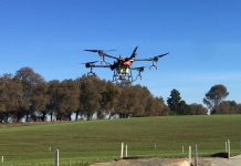 Uso de drones para la agricultura de precisión Los drones están cambiando la forma sembrar, fumigar y monitorear de los cultivos agrícolas.