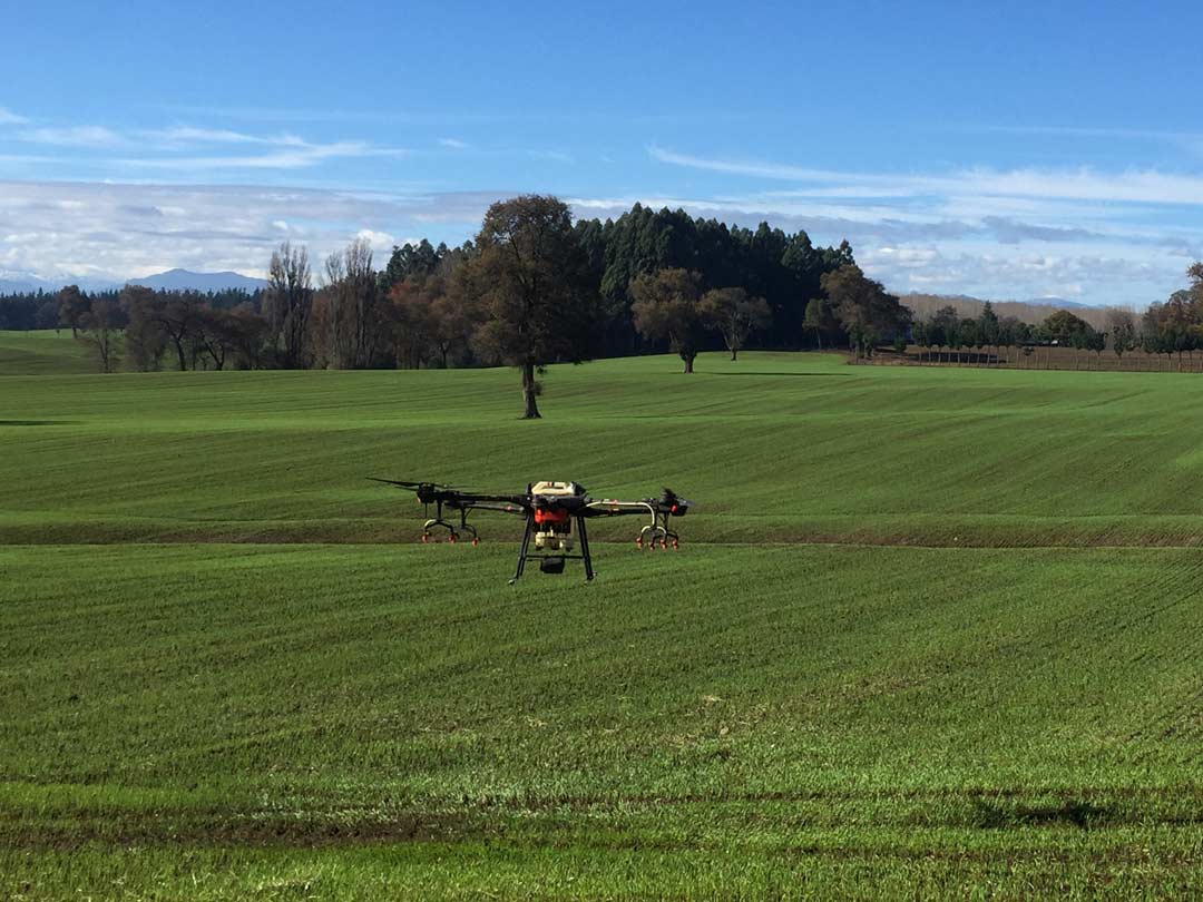 Uso de drones para la agricultura de precisión. Drones fitosanitarios.