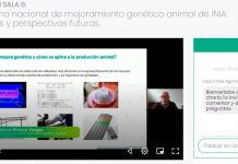 3er día de Expo Chile Agrícola 2021 Director Nacional INIA: “Demostramos que el Instituto está trabajando decididamente en las problemáticas que hoy enfrenta el sector agroalimentario”