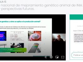 3er día de Expo Chile Agrícola 2021 Director Nacional INIA: “Demostramos que el Instituto está trabajando decididamente en las problemáticas que hoy enfrenta el sector agroalimentario” 3er día de Expo Chile Agrícola 2021 Director Nacional INIA: “Demostramos que el Instituto está trabajando decididamente en las problemáticas que hoy enfrenta el sector agroalimentario”