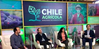 Conversatorio online analizó aporte de pequeños agricultores apoyados por INDAP durante la pandemia  