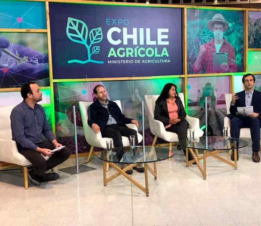 Conversatorio online analizó aporte de pequeños agricultores apoyados por INDAP durante la pandemia  