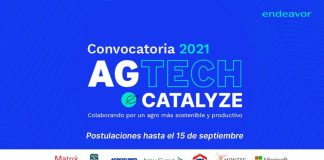 Convocatoria Agtech Catalyze: ENDEAVOR y las principales empresas de la agroindustria se unen para escalar soluciones innovadoras que fomenten la sostenibilidad y productividad en el rubro