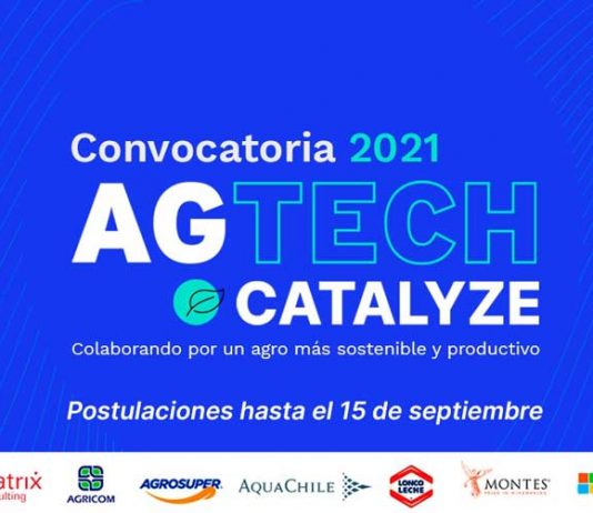 Convocatoria Agtech Catalyze: ENDEAVOR y las principales empresas de la agroindustria se unen para escalar soluciones innovadoras que fomenten la sostenibilidad y productividad en el rubro