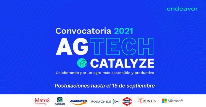 Convocatoria Agtech Catalyze: ENDEAVOR y las principales empresas de la agroindustria se unen para escalar soluciones innovadoras que fomenten la sostenibilidad y productividad en el rubro