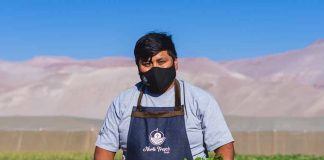 Cooperativa Norte Verde: Nueve jóvenes le agregan innovación a la pequeña agricultura de Arica 
