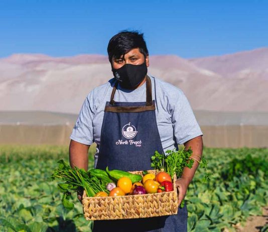 Cooperativa Norte Verde: Nueve jóvenes le agregan innovación a la pequeña agricultura de Arica 