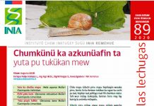 Día Internacional de los Pueblos Indígenas: Biblioteca Digital de INIA destaca publicaciones técnicas elaboradas en lenguaje de pueblos originarios