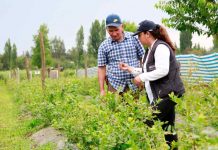 Expo chile agrícola: INDAP cierra su participación revisando los ejes estratégicos del prodesal y la politíca nacional de desarrollo rural