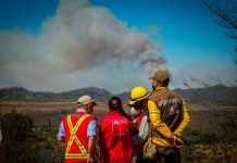 Gobierno realiza balance de la temporada de incendios forestales y reporta un 65% menos de superficie afectada El Presidente de la República encabezó de manera telemática, una reunión de trabajo con autoridades de los ministerios de Agricultura e Interior, la CONAF y ONEMI para analizar los resultados de esta temporada y revisar el Programa de Protección contra Incendios Forestales 2021-2022. Santiago, 6 de agosto de 2021.- El Presidente de la República, Sebastián Piñera, encabezó este viernes, de manera telemática, una reunión de trabajo con autoridades de los ministerios de Agricultura e Interior, la CONAF y ONEMI para revisar el Programa de Protección contra Incendios Forestales 2021-2022. “Respecto al balance de la temporada anterior podemos decir que se vieron afectadas 35 mil hectáreas, lo que significa un 65% menos de hectáreas afectadas en comparación con la temporada anterior. Esto requirió un trabajo coordinado, se explica por múltiples motivos, pero nos anima a continuar en la senda, en la estrategia que no solamente combate, sino que tiene un plan de prevención importante”, señaló la Ministra de Agricultura, María Emilia Undurraga tras la cita. Además, la titular del agro resaltó que en la reunión ya se comenzó a definir la hoja de ruta frente a la próxima temporada de incendios. “Estamos en una condición climática compleja, con temperaturas altas, bajas precipitaciones que nos proyectan una temporada compleja, es por eso, que no solamente hicimos un balance de la temporada anterior, sino también la proyección de la siguiente”, sostuvo la ministra Undurraga. “Estamos proyectando la temporada que viene y por eso, ya hemos aprobado recursos para poder planificar tanto los recursos aéreos como terrestres, como el plan de comunicaciones y prevención, para que todos juntos podamos prevenir los incendios. Esto no es solamente una política pública de un servicio en particular, sino que requiere de la acción de cada una de las personas que se sienten responsable, no solamente de prevenir sino también de hacer los llamados cuando corresponde”, añadió la secretaria de Estado. El director ejecutivo de CONAF, Rodrigo Munita señaló la relevancia que tiene el observar lo que está ocurriendo en el verano del hemisferio norte. “Respecto de la temporada que se nos viene lo primero es que debemos mirar hacia el norte, lo hemos hecho en años anteriores cuando las condiciones climáticas producto del cambio climático son absolutamente adversas, altas temperaturas, material seco, olas de calor, en fin. Las imágenes que nos están mostrando son de verdad tremendamente alarmantes y eso significa que nosotros como país debemos hacernos cargo de lo que eso nos va a implicar”, afirmó. Por su parte, el director de la ONEMI, Ricardo Toro relevó el trabajo coordinado y los protocolos ya que “la relación que existe entre Conaf y la Onemi es muy estrecha, tenemos protocolos muy exhaustivos de todo lo que tenemos que hacer para coordinar una acción que sea efectiva. Y quiero destacar que ya estamos trabajando desde hace varios años, lo que ha permitido un afiatamiento del equipo y levantar todas las lecciones aprendidas con buenas prácticas, que nos permitan sacar buenas conclusiones y claramente, cuando vemos la forma en que estamos preparando esta temporada, estas ya se han incrementado y vemos un nivel bastante adecuado una temporada compleja viendo lo que está sucediendo en Europa y en Estados Unidos recientemente”. En esta línea, la gerenta de protección contra incendios forestales de CONAF, Aida Baldini destacó la rápida aprobación de los recursos para el combate de incendios la próxima temporada. “Hemos tenido esta reunión donde se han aprobado los recursos, lo que nos permite una preparación muy a tiempo porque nosotros hoy sabemos que en Europa y en Estados Unidos, en Canadá, Siberia y en muchas partes hay incendios lo que nos hace competir con los recursos que son los mismos que van cambiando de temporada. Por eso, podemos decir que podremos contar con 62 aeronaves y 268 brigadas terrestres”, señaló. La ministra Undurraga también destacó el trabajo coordinado que ha permitido combatir bien los incendios en un momento en que el “cambio climático nos ha situado en esta temporada en condiciones muy complejas y es por eso que todos tenemos que sentirnos responsables de este desafío, así que vamos a seguir trabajando con todos los integrantes de la mesa nacional de incendios, con el sector privado, con el MOP, con el ministerio de Medioambiente, con los municipios porque aquí todo suma”. El lanzamiento del Programa de Protección contra Incendios Forestales 2021-2022 se realizará dentro de las próximas semanas, ante lo cual Rodrigo Munita dijo que “estamos trabajando en planificación y organización de los recursos tanto aéreos como de brigadas y también ver cómo nos organizamos como país con el sector privado y la participación de otras entidades públicas y privadas que tiene que participar y finalmente la responsabilidad personal de cada ciudadano respecto de lo que se nos viene. Esto puede tener consecuencias muy graves en nuestro medio ambiente, por eso apelamos a la responsabilidad individual para que nos ayuden a proteger nuestros recursos naturales esta temporada”.