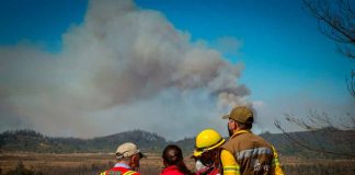 Gobierno realiza balance de la temporada de incendios forestales y reporta un 65% menos de superficie afectada El Presidente de la República encabezó de manera telemática, una reunión de trabajo con autoridades de los ministerios de Agricultura e Interior, la CONAF y ONEMI para analizar los resultados de esta temporada y revisar el Programa de Protección contra Incendios Forestales 2021-2022. Santiago, 6 de agosto de 2021.- El Presidente de la República, Sebastián Piñera, encabezó este viernes, de manera telemática, una reunión de trabajo con autoridades de los ministerios de Agricultura e Interior, la CONAF y ONEMI para revisar el Programa de Protección contra Incendios Forestales 2021-2022. “Respecto al balance de la temporada anterior podemos decir que se vieron afectadas 35 mil hectáreas, lo que significa un 65% menos de hectáreas afectadas en comparación con la temporada anterior. Esto requirió un trabajo coordinado, se explica por múltiples motivos, pero nos anima a continuar en la senda, en la estrategia que no solamente combate, sino que tiene un plan de prevención importante”, señaló la Ministra de Agricultura, María Emilia Undurraga tras la cita. Además, la titular del agro resaltó que en la reunión ya se comenzó a definir la hoja de ruta frente a la próxima temporada de incendios. “Estamos en una condición climática compleja, con temperaturas altas, bajas precipitaciones que nos proyectan una temporada compleja, es por eso, que no solamente hicimos un balance de la temporada anterior, sino también la proyección de la siguiente”, sostuvo la ministra Undurraga. “Estamos proyectando la temporada que viene y por eso, ya hemos aprobado recursos para poder planificar tanto los recursos aéreos como terrestres, como el plan de comunicaciones y prevención, para que todos juntos podamos prevenir los incendios. Esto no es solamente una política pública de un servicio en particular, sino que requiere de la acción de cada una de las personas que se sienten responsable, no solamente de prevenir sino también de hacer los llamados cuando corresponde”, añadió la secretaria de Estado. El director ejecutivo de CONAF, Rodrigo Munita señaló la relevancia que tiene el observar lo que está ocurriendo en el verano del hemisferio norte. “Respecto de la temporada que se nos viene lo primero es que debemos mirar hacia el norte, lo hemos hecho en años anteriores cuando las condiciones climáticas producto del cambio climático son absolutamente adversas, altas temperaturas, material seco, olas de calor, en fin. Las imágenes que nos están mostrando son de verdad tremendamente alarmantes y eso significa que nosotros como país debemos hacernos cargo de lo que eso nos va a implicar”, afirmó. Por su parte, el director de la ONEMI, Ricardo Toro relevó el trabajo coordinado y los protocolos ya que “la relación que existe entre Conaf y la Onemi es muy estrecha, tenemos protocolos muy exhaustivos de todo lo que tenemos que hacer para coordinar una acción que sea efectiva. Y quiero destacar que ya estamos trabajando desde hace varios años, lo que ha permitido un afiatamiento del equipo y levantar todas las lecciones aprendidas con buenas prácticas, que nos permitan sacar buenas conclusiones y claramente, cuando vemos la forma en que estamos preparando esta temporada, estas ya se han incrementado y vemos un nivel bastante adecuado una temporada compleja viendo lo que está sucediendo en Europa y en Estados Unidos recientemente”. En esta línea, la gerenta de protección contra incendios forestales de CONAF, Aida Baldini destacó la rápida aprobación de los recursos para el combate de incendios la próxima temporada. “Hemos tenido esta reunión donde se han aprobado los recursos, lo que nos permite una preparación muy a tiempo porque nosotros hoy sabemos que en Europa y en Estados Unidos, en Canadá, Siberia y en muchas partes hay incendios lo que nos hace competir con los recursos que son los mismos que van cambiando de temporada. Por eso, podemos decir que podremos contar con 62 aeronaves y 268 brigadas terrestres”, señaló. La ministra Undurraga también destacó el trabajo coordinado que ha permitido combatir bien los incendios en un momento en que el “cambio climático nos ha situado en esta temporada en condiciones muy complejas y es por eso que todos tenemos que sentirnos responsables de este desafío, así que vamos a seguir trabajando con todos los integrantes de la mesa nacional de incendios, con el sector privado, con el MOP, con el ministerio de Medioambiente, con los municipios porque aquí todo suma”. El lanzamiento del Programa de Protección contra Incendios Forestales 2021-2022 se realizará dentro de las próximas semanas, ante lo cual Rodrigo Munita dijo que “estamos trabajando en planificación y organización de los recursos tanto aéreos como de brigadas y también ver cómo nos organizamos como país con el sector privado y la participación de otras entidades públicas y privadas que tiene que participar y finalmente la responsabilidad personal de cada ciudadano respecto de lo que se nos viene. Esto puede tener consecuencias muy graves en nuestro medio ambiente, por eso apelamos a la responsabilidad individual para que nos ayuden a proteger nuestros recursos naturales esta temporada”.