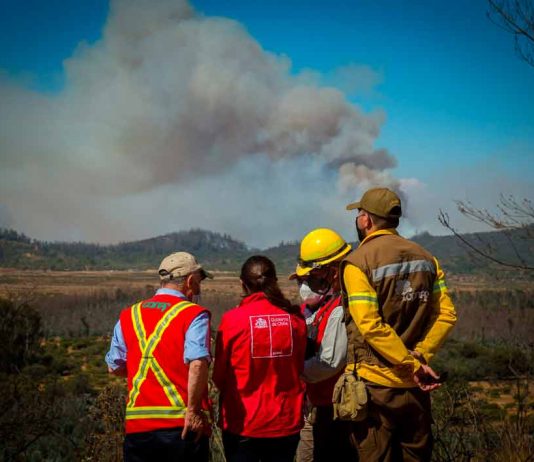 Gobierno realiza balance de la temporada de incendios forestales y reporta un 65% menos de superficie afectada El Presidente de la República encabezó de manera telemática, una reunión de trabajo con autoridades de los ministerios de Agricultura e Interior, la CONAF y ONEMI para analizar los resultados de esta temporada y revisar el Programa de Protección contra Incendios Forestales 2021-2022. Santiago, 6 de agosto de 2021.- El Presidente de la República, Sebastián Piñera, encabezó este viernes, de manera telemática, una reunión de trabajo con autoridades de los ministerios de Agricultura e Interior, la CONAF y ONEMI para revisar el Programa de Protección contra Incendios Forestales 2021-2022. “Respecto al balance de la temporada anterior podemos decir que se vieron afectadas 35 mil hectáreas, lo que significa un 65% menos de hectáreas afectadas en comparación con la temporada anterior. Esto requirió un trabajo coordinado, se explica por múltiples motivos, pero nos anima a continuar en la senda, en la estrategia que no solamente combate, sino que tiene un plan de prevención importante”, señaló la Ministra de Agricultura, María Emilia Undurraga tras la cita. Además, la titular del agro resaltó que en la reunión ya se comenzó a definir la hoja de ruta frente a la próxima temporada de incendios. “Estamos en una condición climática compleja, con temperaturas altas, bajas precipitaciones que nos proyectan una temporada compleja, es por eso, que no solamente hicimos un balance de la temporada anterior, sino también la proyección de la siguiente”, sostuvo la ministra Undurraga. “Estamos proyectando la temporada que viene y por eso, ya hemos aprobado recursos para poder planificar tanto los recursos aéreos como terrestres, como el plan de comunicaciones y prevención, para que todos juntos podamos prevenir los incendios. Esto no es solamente una política pública de un servicio en particular, sino que requiere de la acción de cada una de las personas que se sienten responsable, no solamente de prevenir sino también de hacer los llamados cuando corresponde”, añadió la secretaria de Estado. El director ejecutivo de CONAF, Rodrigo Munita señaló la relevancia que tiene el observar lo que está ocurriendo en el verano del hemisferio norte. “Respecto de la temporada que se nos viene lo primero es que debemos mirar hacia el norte, lo hemos hecho en años anteriores cuando las condiciones climáticas producto del cambio climático son absolutamente adversas, altas temperaturas, material seco, olas de calor, en fin. Las imágenes que nos están mostrando son de verdad tremendamente alarmantes y eso significa que nosotros como país debemos hacernos cargo de lo que eso nos va a implicar”, afirmó. Por su parte, el director de la ONEMI, Ricardo Toro relevó el trabajo coordinado y los protocolos ya que “la relación que existe entre Conaf y la Onemi es muy estrecha, tenemos protocolos muy exhaustivos de todo lo que tenemos que hacer para coordinar una acción que sea efectiva. Y quiero destacar que ya estamos trabajando desde hace varios años, lo que ha permitido un afiatamiento del equipo y levantar todas las lecciones aprendidas con buenas prácticas, que nos permitan sacar buenas conclusiones y claramente, cuando vemos la forma en que estamos preparando esta temporada, estas ya se han incrementado y vemos un nivel bastante adecuado una temporada compleja viendo lo que está sucediendo en Europa y en Estados Unidos recientemente”. En esta línea, la gerenta de protección contra incendios forestales de CONAF, Aida Baldini destacó la rápida aprobación de los recursos para el combate de incendios la próxima temporada. “Hemos tenido esta reunión donde se han aprobado los recursos, lo que nos permite una preparación muy a tiempo porque nosotros hoy sabemos que en Europa y en Estados Unidos, en Canadá, Siberia y en muchas partes hay incendios lo que nos hace competir con los recursos que son los mismos que van cambiando de temporada. Por eso, podemos decir que podremos contar con 62 aeronaves y 268 brigadas terrestres”, señaló. La ministra Undurraga también destacó el trabajo coordinado que ha permitido combatir bien los incendios en un momento en que el “cambio climático nos ha situado en esta temporada en condiciones muy complejas y es por eso que todos tenemos que sentirnos responsables de este desafío, así que vamos a seguir trabajando con todos los integrantes de la mesa nacional de incendios, con el sector privado, con el MOP, con el ministerio de Medioambiente, con los municipios porque aquí todo suma”. El lanzamiento del Programa de Protección contra Incendios Forestales 2021-2022 se realizará dentro de las próximas semanas, ante lo cual Rodrigo Munita dijo que “estamos trabajando en planificación y organización de los recursos tanto aéreos como de brigadas y también ver cómo nos organizamos como país con el sector privado y la participación de otras entidades públicas y privadas que tiene que participar y finalmente la responsabilidad personal de cada ciudadano respecto de lo que se nos viene. Esto puede tener consecuencias muy graves en nuestro medio ambiente, por eso apelamos a la responsabilidad individual para que nos ayuden a proteger nuestros recursos naturales esta temporada”.