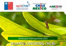 Inscríbete en el seminario internacional sobre HLB y sus insectos vectores