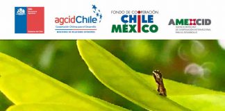 Inscríbete en el seminario internacional sobre HLB y sus insectos vectores