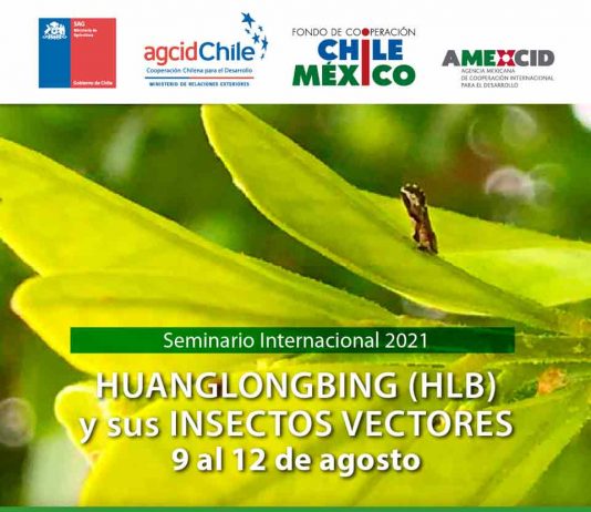 Inscríbete en el seminario internacional sobre HLB y sus insectos vectores