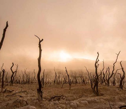 Investigadores U. de Chile alertan sobre Dominga y cambio climático: “Tiene impacto contundente sobre el entorno”