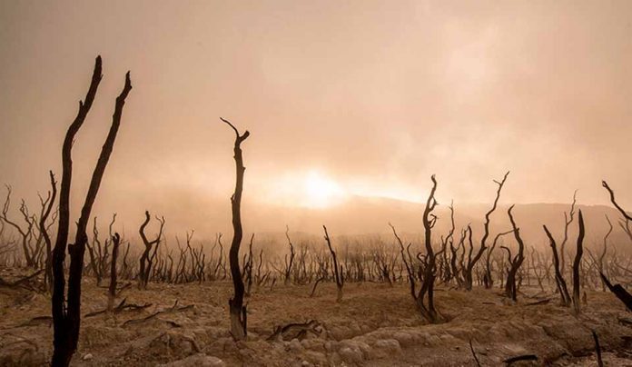 Investigadores U. de Chile alertan sobre Dominga y cambio climático: “Tiene impacto contundente sobre el entorno”