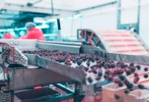 Los efectos de la escasez del papel en las exportaciones de fruta