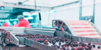 Los efectos de la escasez del papel en las exportaciones de fruta