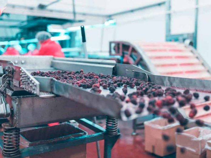 Los efectos de la escasez del papel en las exportaciones de fruta
