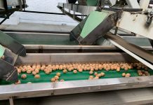 Pequeños productores salamanquinos exportan nueces al mercado turco