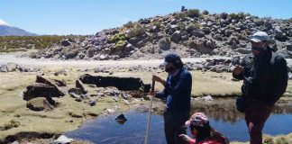 Red SIPAN Macrozona Altoandino y Precordillera Norte: Trabajando para rescatar las prácticas ancestrales de pastoreo y ganadería 