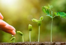 Startup chilena de monitoreo tecnológico se abre paso en el sector agropecuario