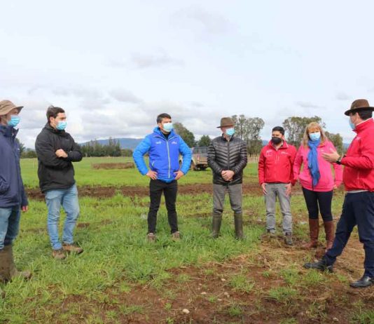 Subsecretario Pinochet entregó bonos de riego de pequeña agricultura para aumentar la eficiencia del agua en La Araucanía