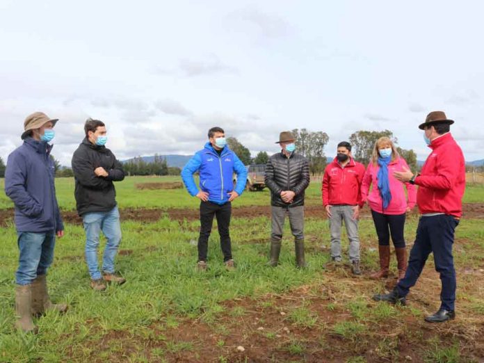 Subsecretario Pinochet entregó bonos de riego de pequeña agricultura para aumentar la eficiencia del agua en La Araucanía