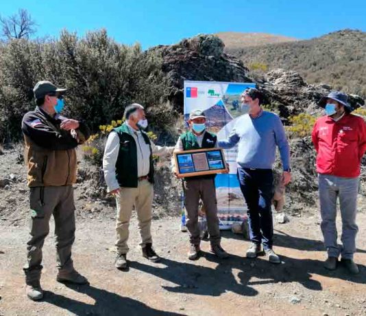 Subsecretario de Agricultura da el vamos a nueva reforestación CONAF-ENGIE en Central Chapiquiña