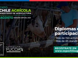 Sustentabilidad y ganadería regenerativa serán algunas de las temáticas que INIA presentará en Expo Chile  2021