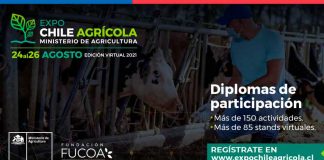 Sustentabilidad y ganadería regenerativa serán algunas de las temáticas que INIA presentará en Expo Chile  2021