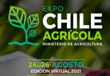 Uso de vasijas ancestrales para riego es uno de atractivos de Expo Chile Agrícola 2021