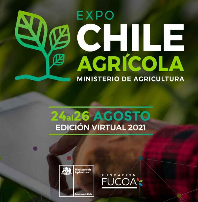 Uso de vasijas ancestrales para riego es uno de atractivos de Expo Chile Agrícola 2021