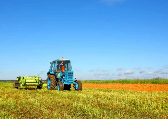 Financiamiento desde los USD 40 mil: Wayra Hispam y empresa agro Danper abren concurso internacional para startups innovadoras
