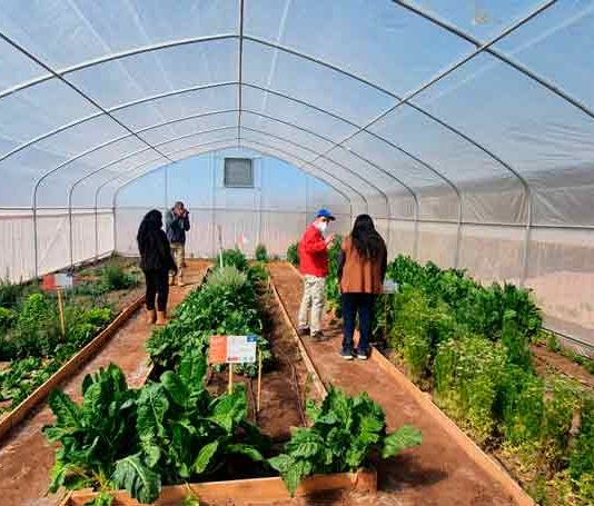 CNR entregó bonificaciones de riego para potenciar la pequeña agricultura de Coyo  