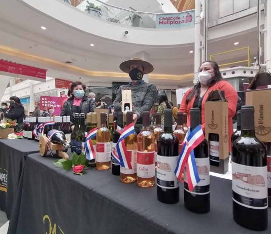 Con éxito total finalizó la 1era feria del vino de la región del Biobío