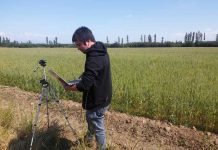 Crean software para dron que libera controladores biológicos en los campos