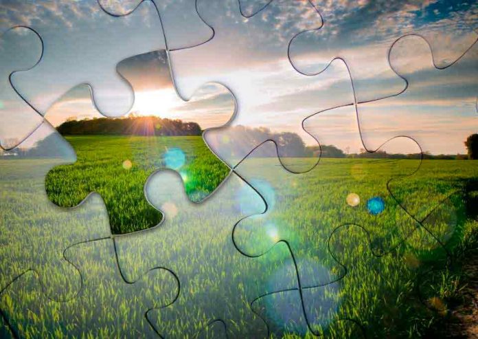 DSM anuncia los compromisos del sistema alimentario destinados a lograr un futuro más saludable para las personas, el planeta y los sustentos
